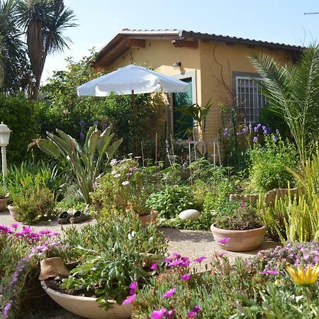 Le Cicale Villa Casal Palocco Eksteriør billede