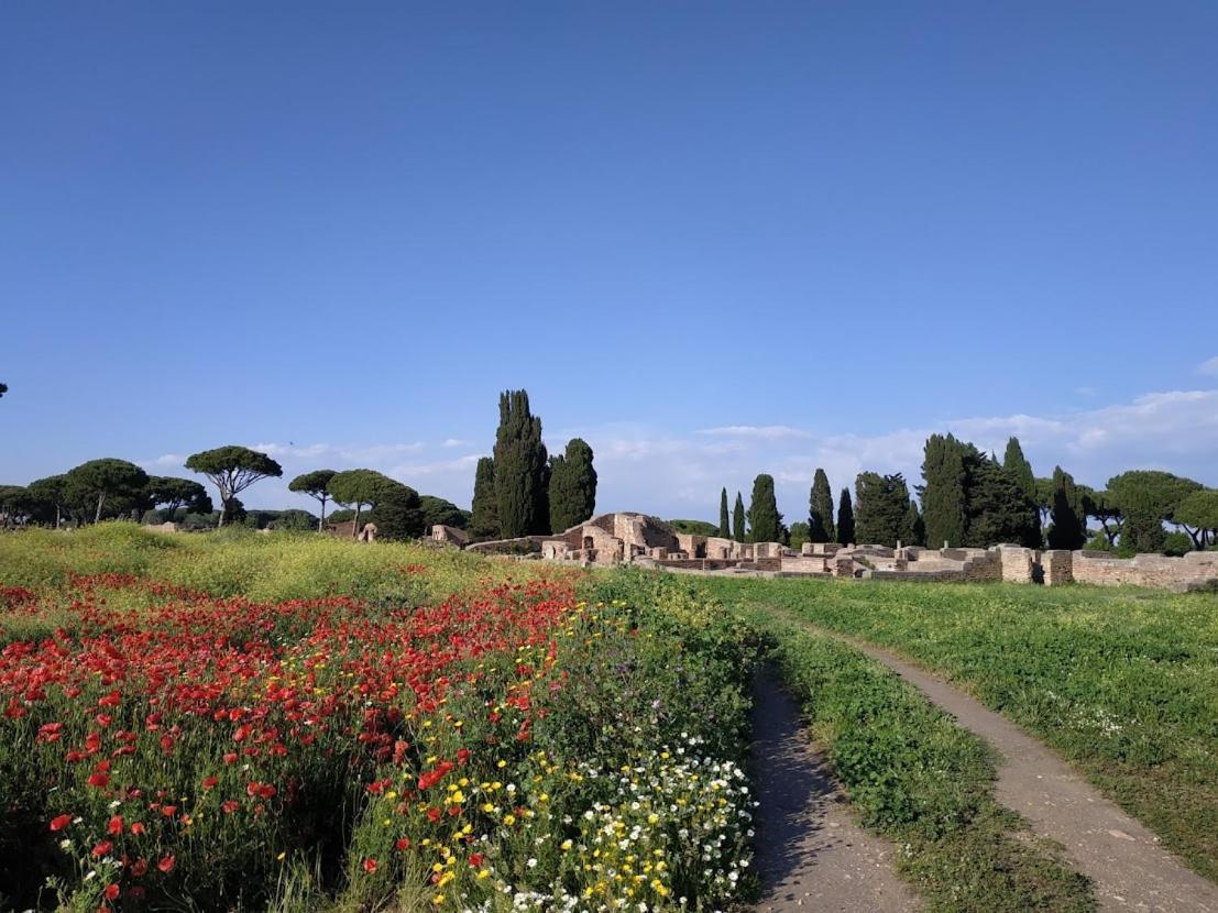Le Cicale Villa Casal Palocco Eksteriør billede