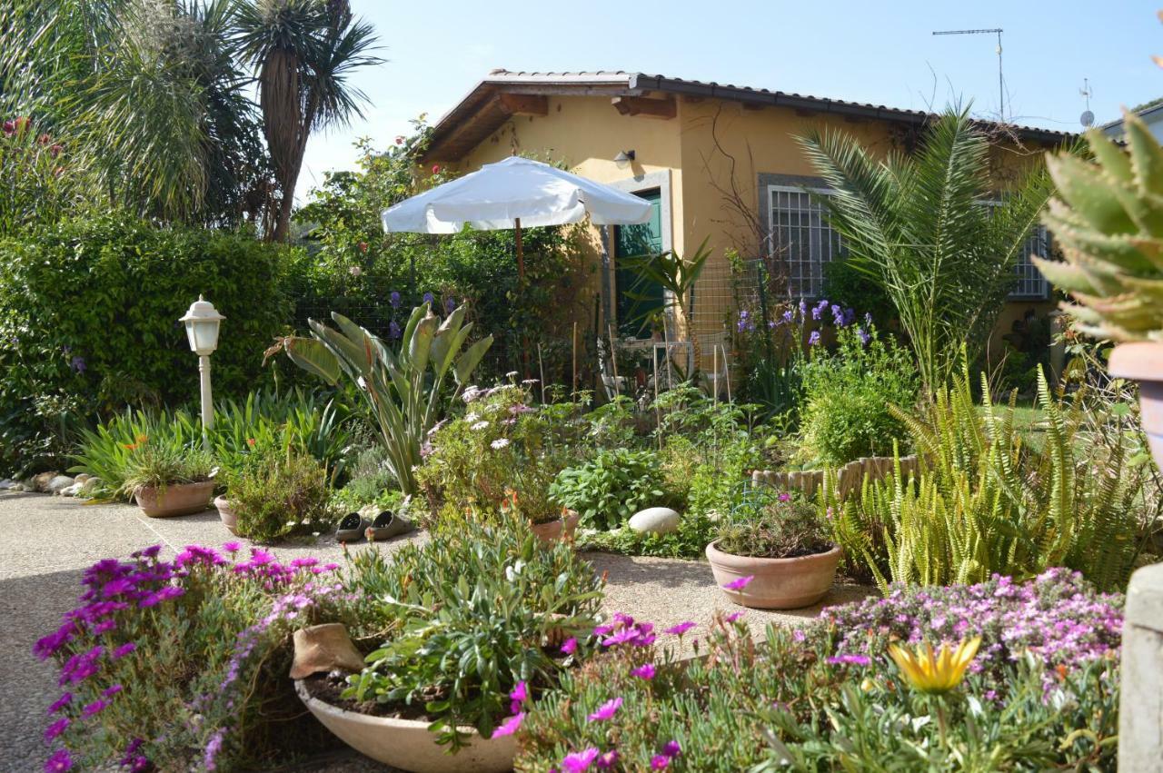 Le Cicale Villa Casal Palocco Eksteriør billede